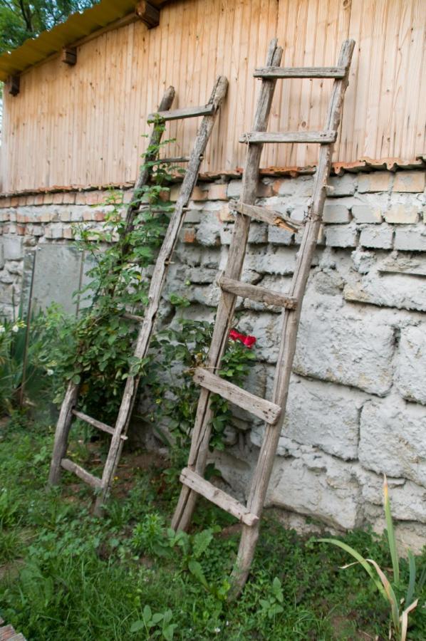 Notas Tuecsoek Vendeghaz Apartment Agyagosszergény Exterior foto