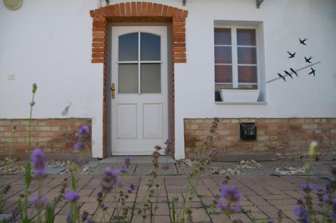 Notas Tuecsoek Vendeghaz Apartment Agyagosszergény Exterior foto