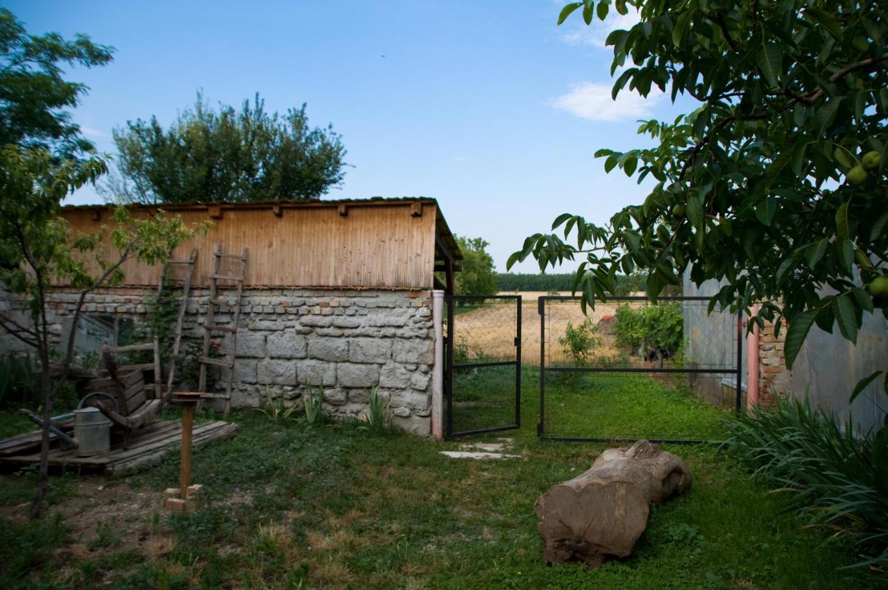 Notas Tuecsoek Vendeghaz Apartment Agyagosszergény Exterior foto