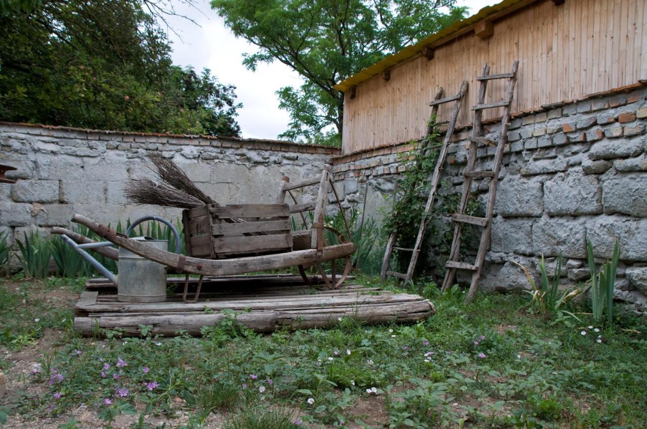 Notas Tuecsoek Vendeghaz Apartment Agyagosszergény Exterior foto